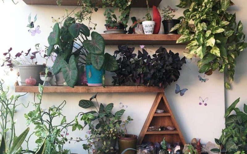 Apt 2 quartos no moradas do atlantico -Thatiane-Ribeiro-Corretora-de-imoveis-whatssap 71983804225