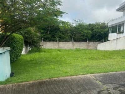terreno no cond Alphaville Litoral Norte - Foto Destaque - (400 x 300 px) - Thatiane Ribeiro Corretora de Imóveis Whats (71) 98380-4225